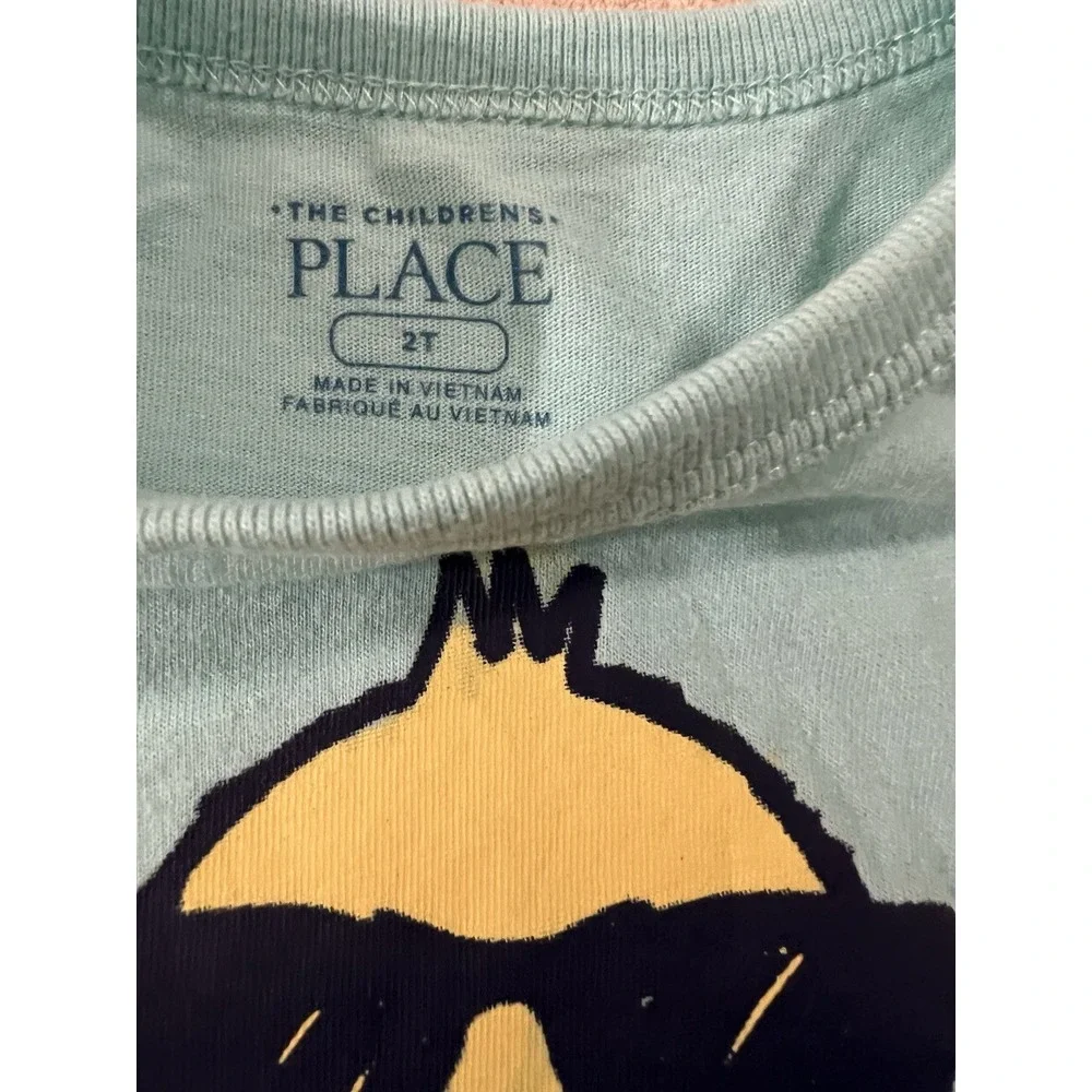 The Children's Place Toddler Easter‎ Tshirt Size 2T Chicks Dig Me